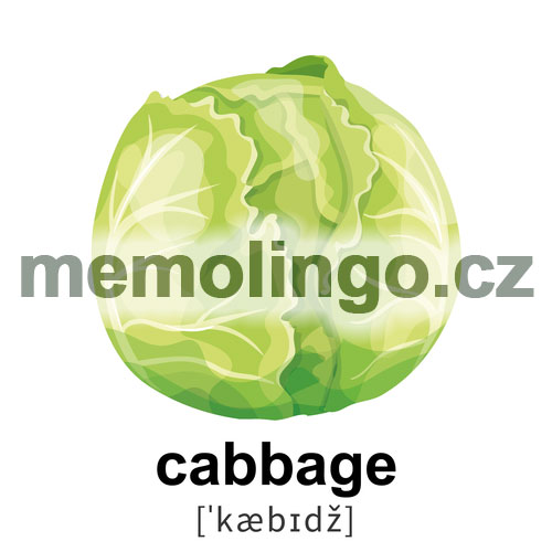 cabbage