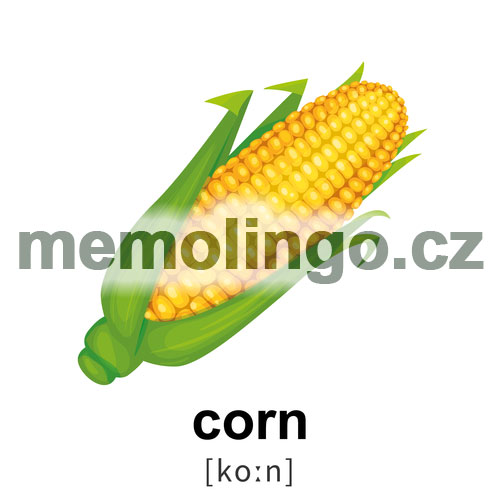 corn