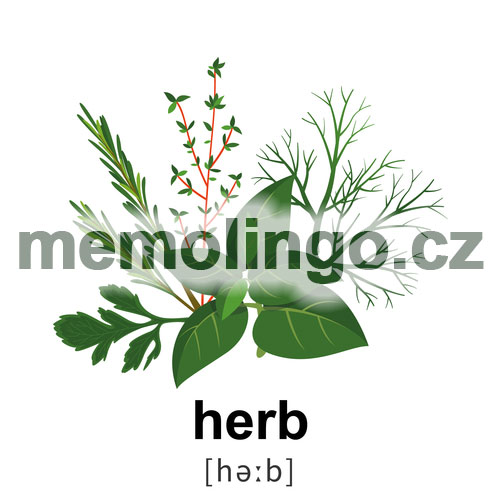 herb