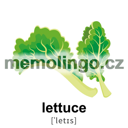 lettuce