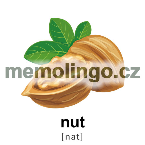 nut