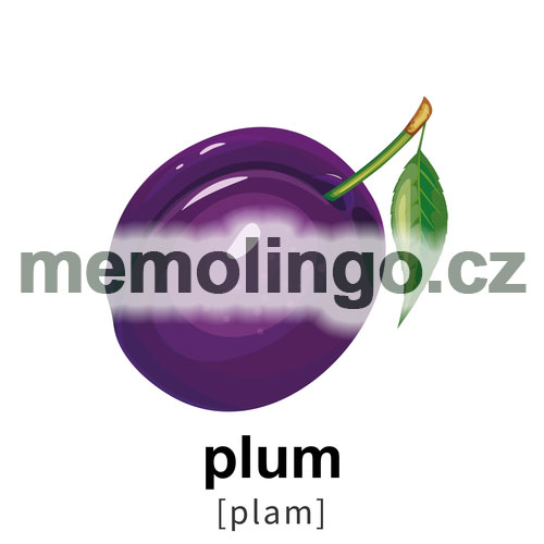 plum