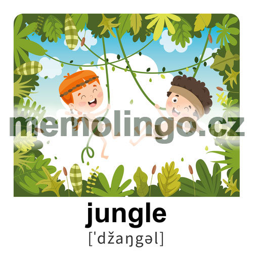 jungle