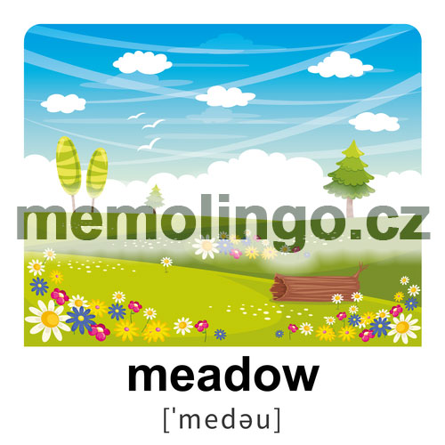 meadow