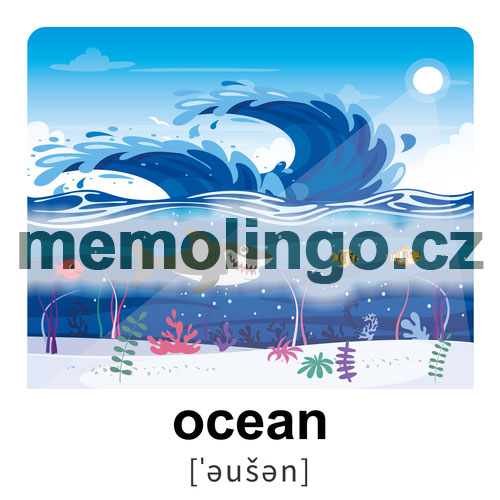 ocean