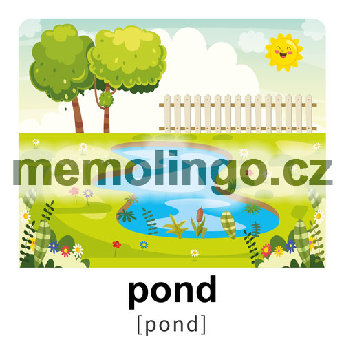 pond