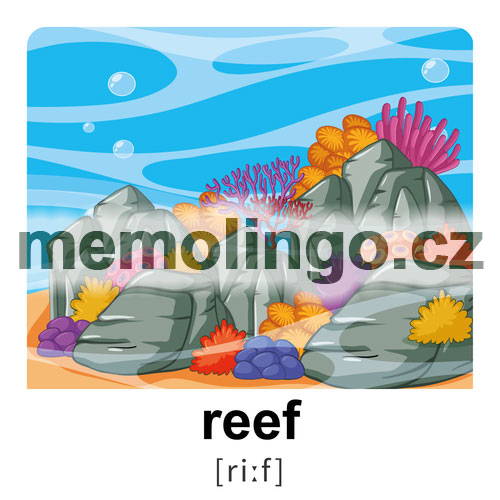 reef