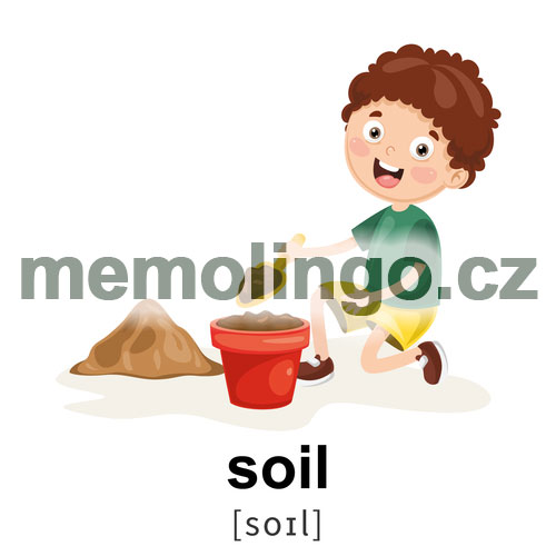 soil