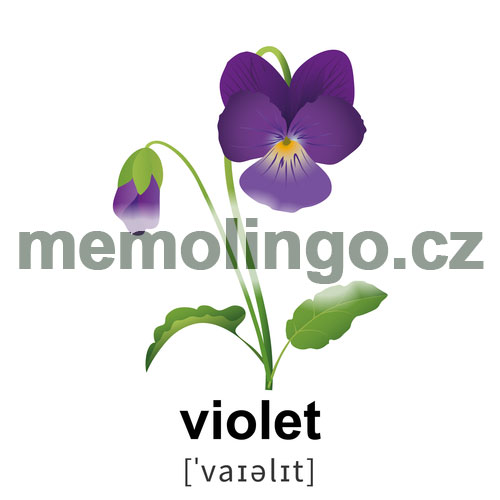 violet