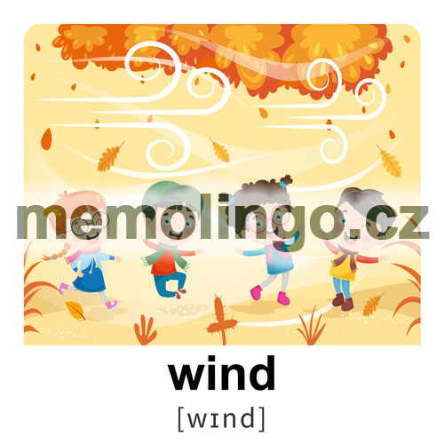 wind