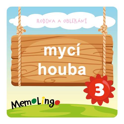 mycí houba