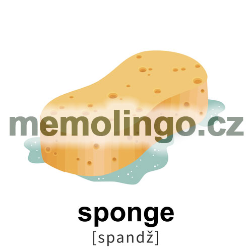 sponge