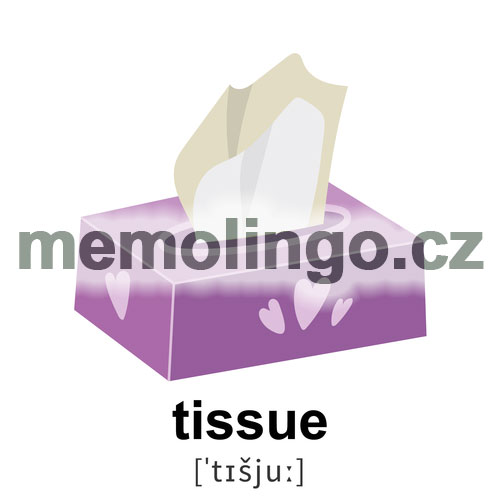 tissue