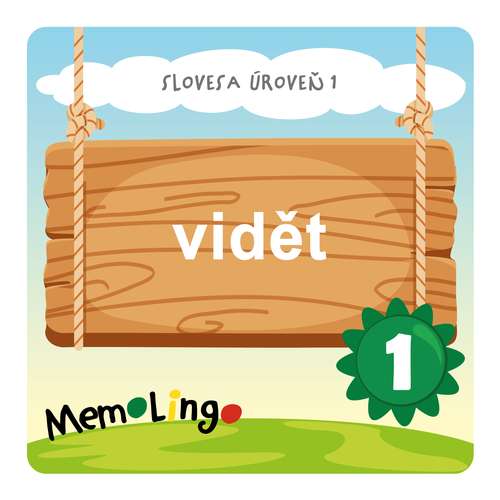 vidět