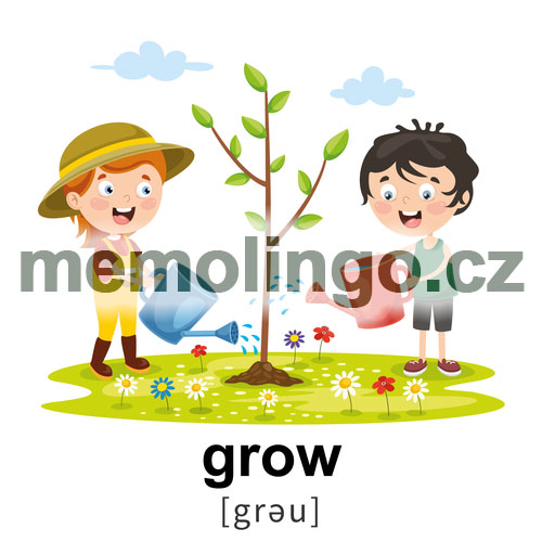 grow