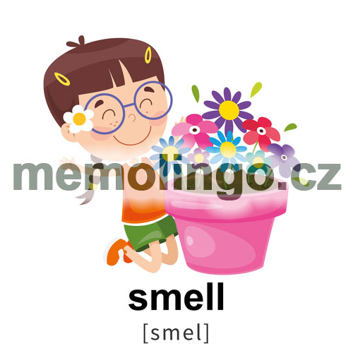 smell