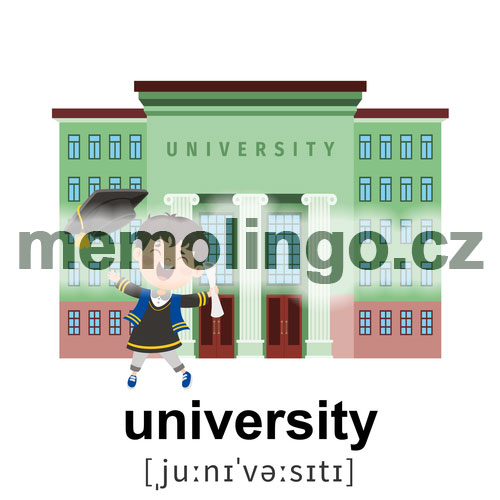 university