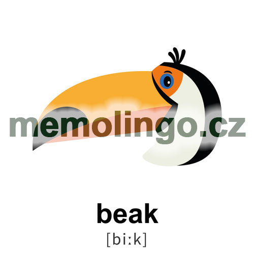 beak