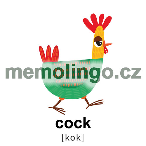 cock