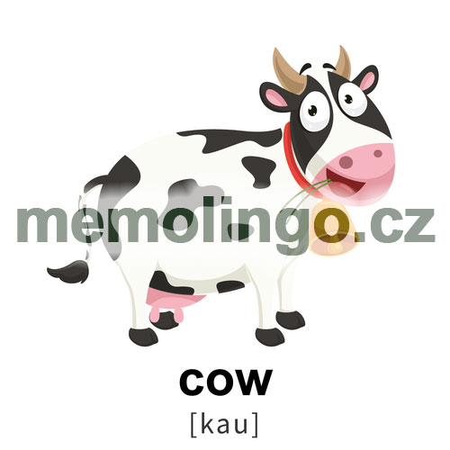 cow