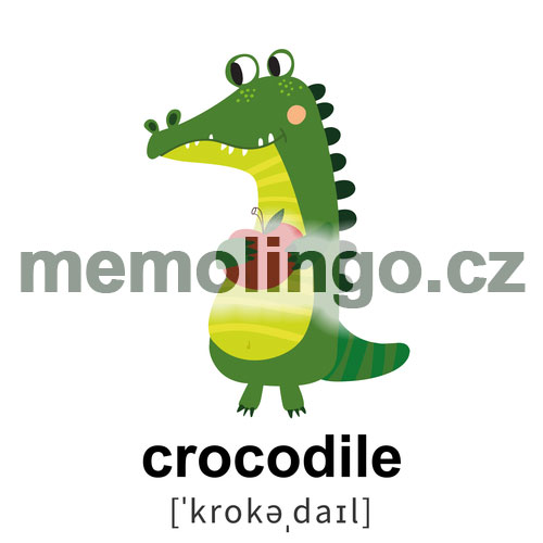 crocodile