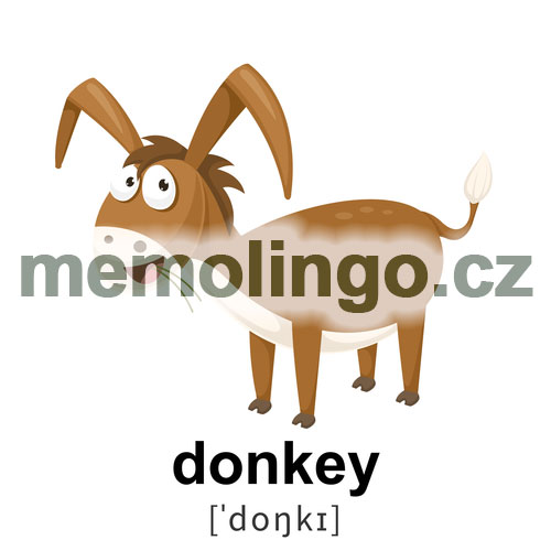 donkey