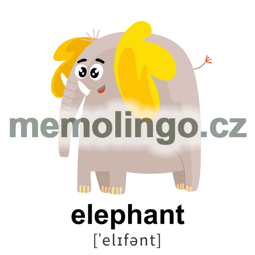 elephant