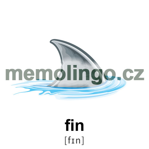 fin