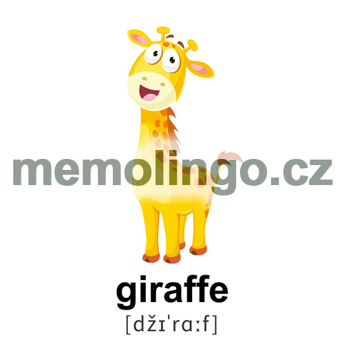 giraffe