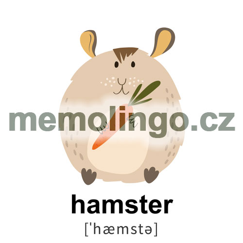 hamster