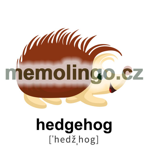 hedgehog