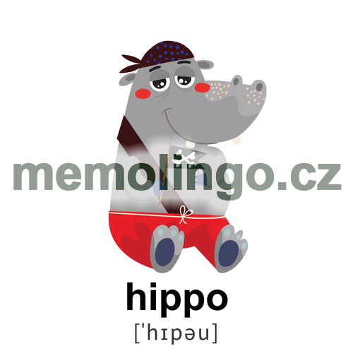 hippo