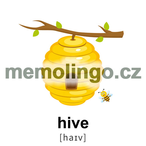 hive