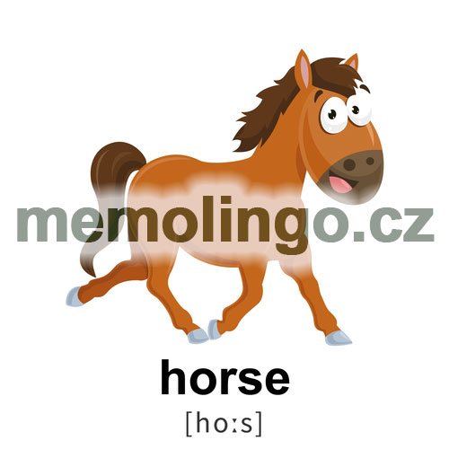 horse