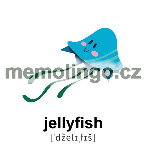 jellyfish