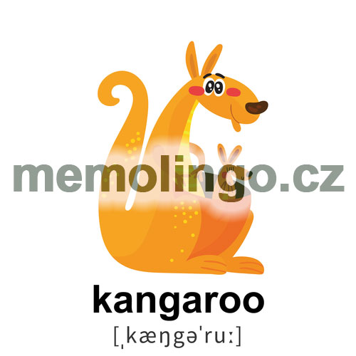 kangaroo