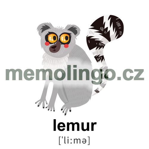 lemur