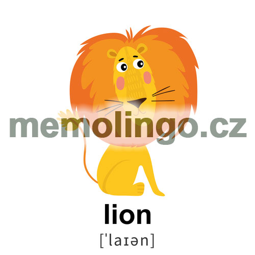 lion