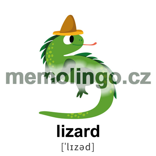 lizard