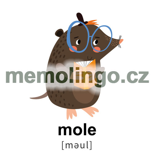mole