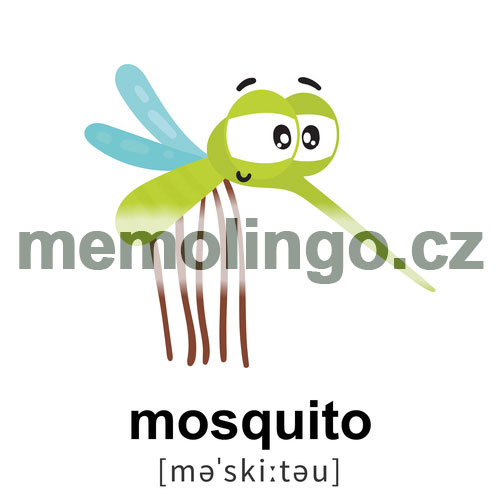 mosquito