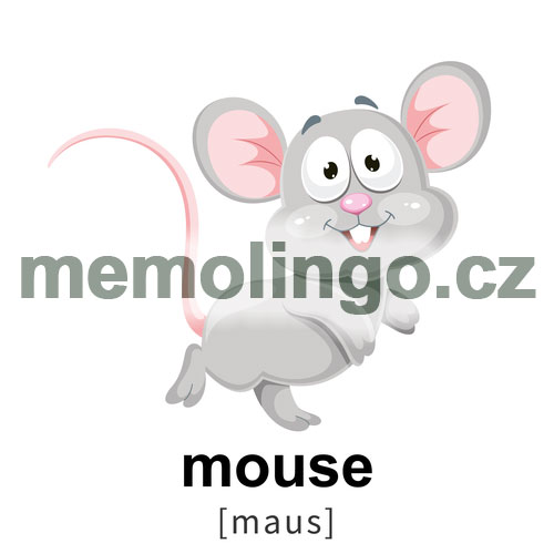 mouse