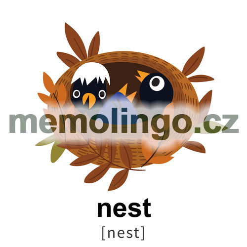 nest