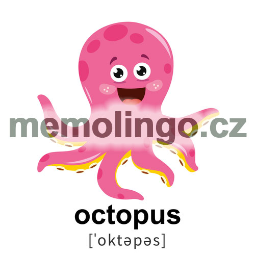 octopus