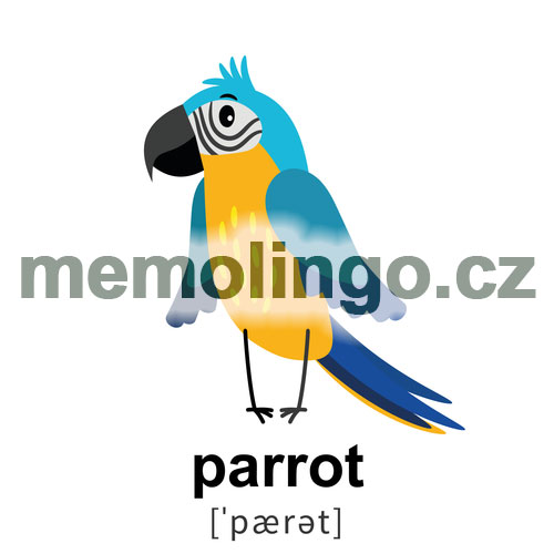 parrot