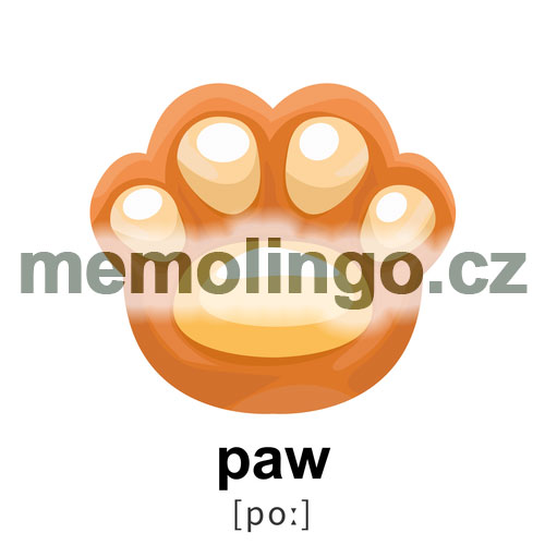 paw