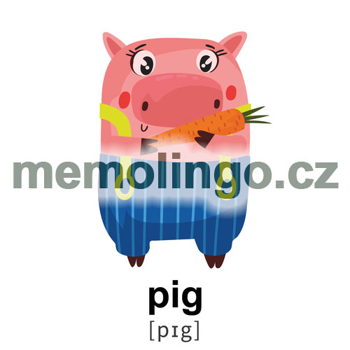 pig