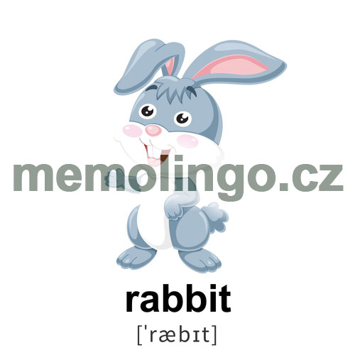 rabbit