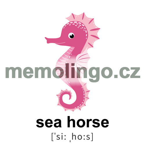 sea horse