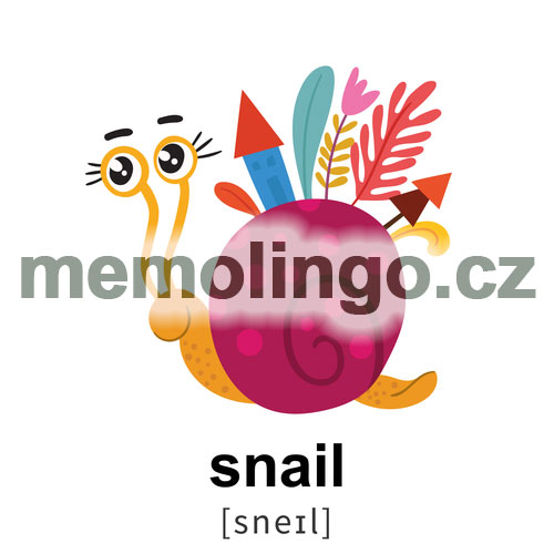 snail